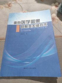 面向医学图像的聚类关键技术