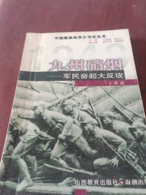 九州硝烟:军民奋起大反攻