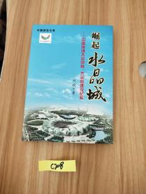 崛起水晶城 : 中国深圳大运中心、大运村建设纪实