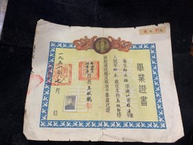 1951年，浙江省临海县立湖滨小学毕业证书，首见