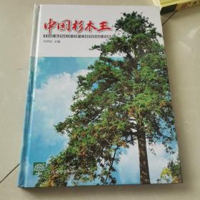 中国杉木王