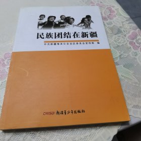 民族团结在新疆