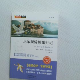 尼尔斯骑鹅旅行记 经典名著轻松读