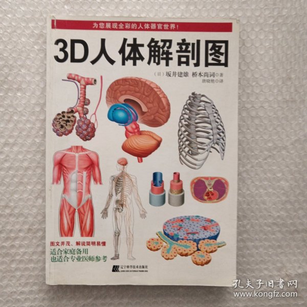 3D人体解剖图