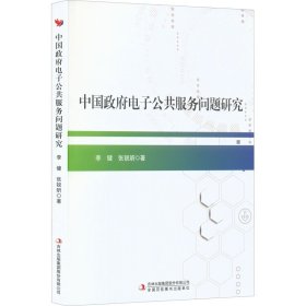 中国政府电子公共服务问题研究