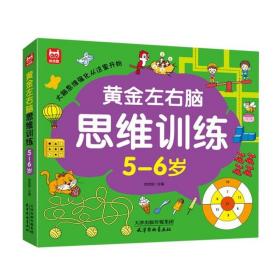 左右脑思维训练 5-6岁 智力开发 作者 新华正版