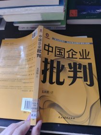 中国企业批判:透视中国企业文化、战略与营销