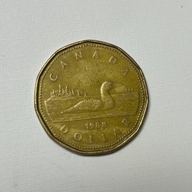 加拿大1元1988年铜币低冠青年伊丽莎白女王潜鸟