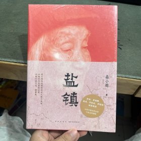 盐镇