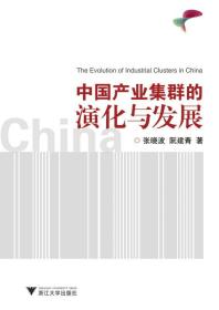 中国产业集群的演化与发展/张晓波/阮建青/浙江大学出版社