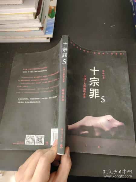 十宗罪5：中国十大凶杀案（无彩）