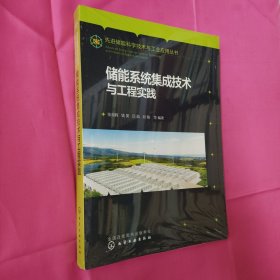 先进储能科学技术与工业应用丛书--储能系统集成技术与工程实践