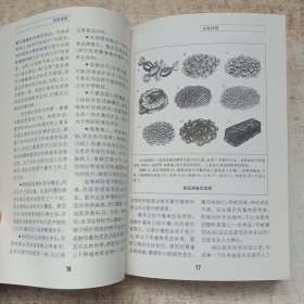 行走户外生存行家