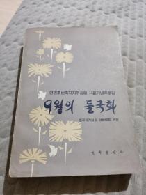 九月的野菊花（朝鲜文）9월의 들국화