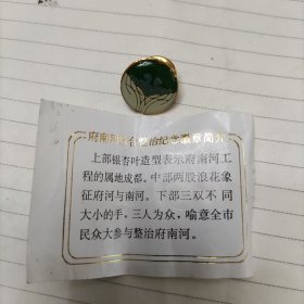 府南河综合整治纪念徽章