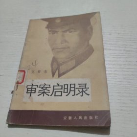 审案启明录