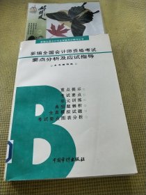 新编全国会计师资格考试要点分析及应试指导.B