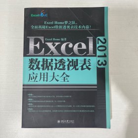 Excel 2013数据透视表应用大全