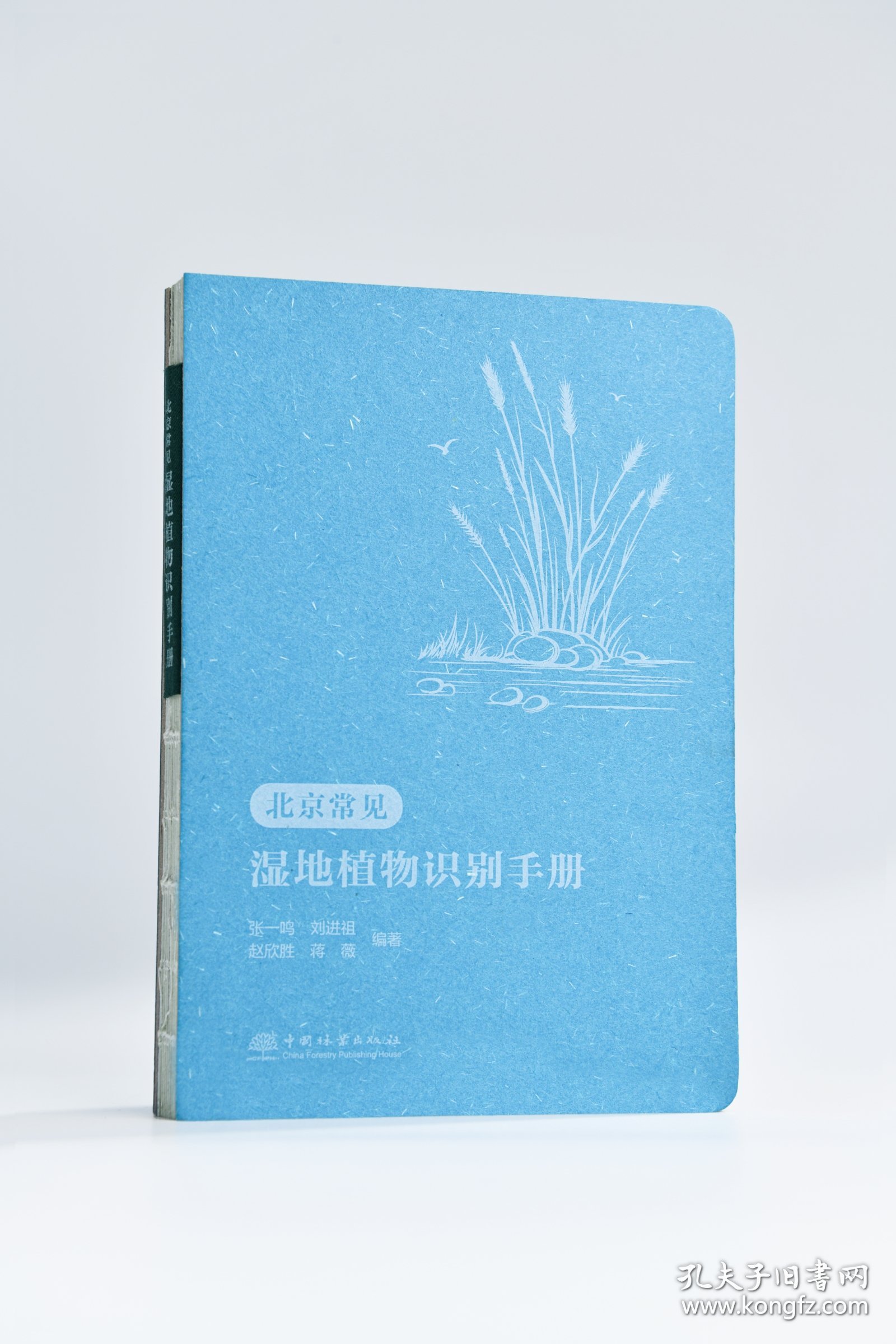 北京常见湿地植物识别手册