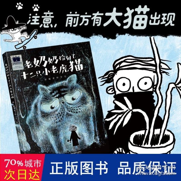 《老奶奶捡到了十二只小老虎猫》（2024年百班千人寒假书单 二年级推荐阅读）