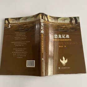 恐龙足迹：追寻亿万年前的神秘印记