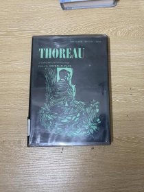 Thoreau：A Collection of Critical Essays  梭罗研究论文集，收 众多经典评论文章，精装