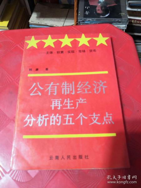 公有制经济再生产分析的五个支点：主体、积累、实现、市场、货币