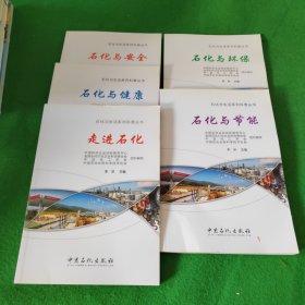 石化与健康 石化与节能 石化与环保 石化与安全 走进石化(石化与生活系列科普丛书)全5册