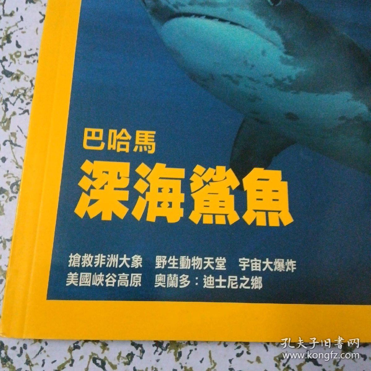 《国家地理》杂志     巴哈马  深海鲨鱼（中文版）2007年3月号