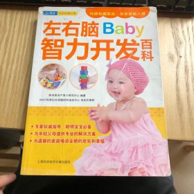 左右脑baby智力开发百科