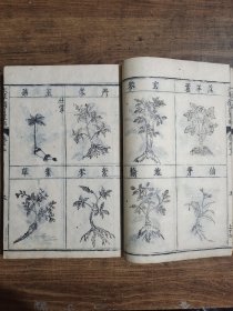 本草纲目 （日本本草学家稻生若水校刻，该书最好的和刻本，在日本传播影响深远。作为羽翼《本草纲目》之作，《本草图翼》采撷、转绘明代李中立《本草原始》大量图文，共载药433种、药图425幅。本书一方面能够帮助医家更好地学习《本草纲目》，另一方面首次将药材图介绍到日本，为日本医家学习辨识药物，了解药材质量、鉴别提供了直观、确切的图文资料，对《本草纲目》《本草原始》在日本的流传起到了积极作用）