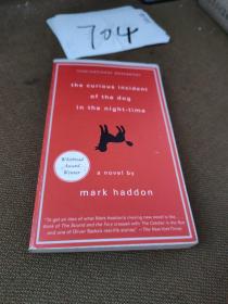 The Curious Incident of the Dog in the Night-Time