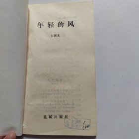 年轻的风
