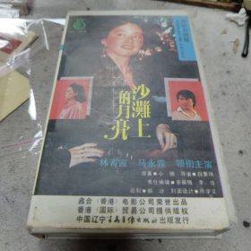 沙滩上的月亮 录相带