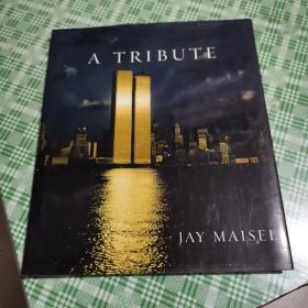 A Tribute /Jay Maisel Barnes & Noble Books