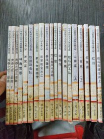 中华爱国主义文学名著文库：第一、二辑（全20册——第二辑 缺 南洋漂流记 共19本合售）