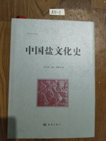 中国盐文化史