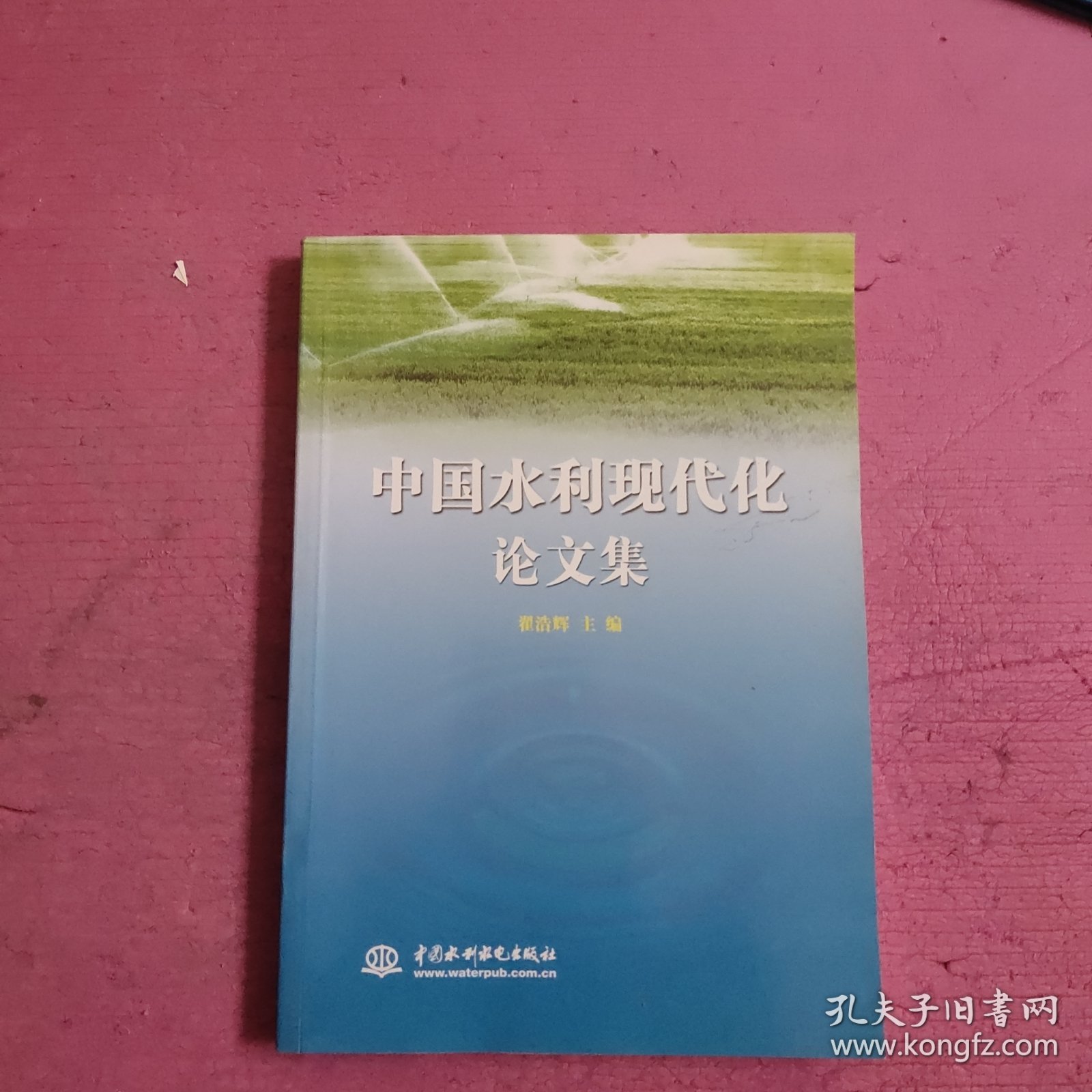 中国水利现代化论文集 【466号】