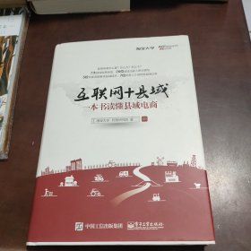 互联网+县域：一本书读懂县域电商