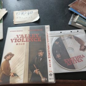 DVD：暴力山谷