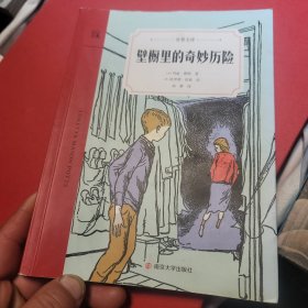 壁橱里的奇妙历险（奇想文库）