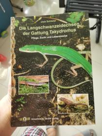 爬虫图鉴长尾蜥蜴属Die Langschwanzeidechsen der Gattung Takydromus