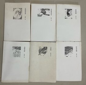 席慕容诗集（全六册）：1，七里香、2，无怨的青春、3，时光九篇、4，边缘光影、5，迷途诗册、6，我折叠着我的爱，6册合售。