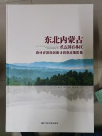 东北内蒙古重点国有林区森林资源规划设计调查成果图集