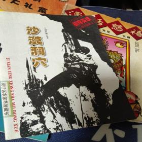 沙漠洞穴