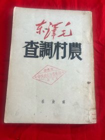 毛泽东 农村调查