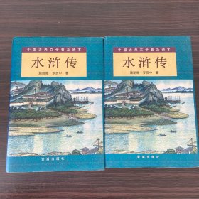 中国古典文学普及读本：水浒传（上下）