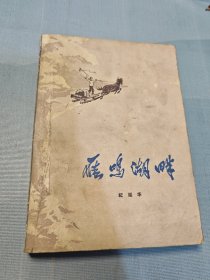 雁鸣湖畔