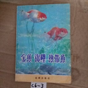 金魚锦鲤热带鱼