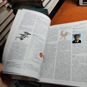 中国大百科全书 第二版 18